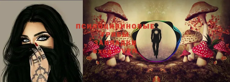 Галлюциногенные грибы MAGIC MUSHROOMS  Ангарск 